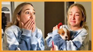 NEW PUPPY SURPRISE COMPILATION 2024  WHOLESOME SURPRISE MOMENTS [upl. by Dlaniger]