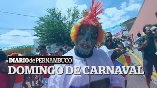 Domingo de Carnaval  Olinda Recife e Papangus [upl. by Encrata]