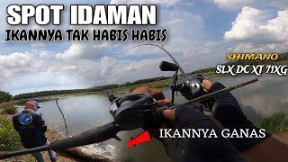 CASTING IKAN GABUS‼️💯SLX DC XT VS HARUAN DELTA  SPOT PULAU SEBERANG [upl. by Montano]