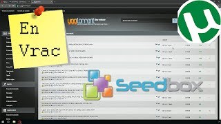 En Vrac  Comment uploader un fichier sur yggtorrent avec une SeedBox [upl. by Annoyik]