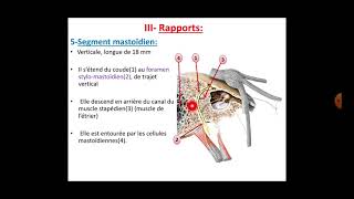 Anatomie du nerf facial [upl. by Stuart474]