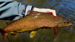 Beaverkill River Fly Fishing [upl. by Kathe466]