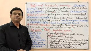 Endocrine Gland Part 01  Basic Concept in Endocrine Pharmacology  Endocrine Pharmacology [upl. by Huei521]