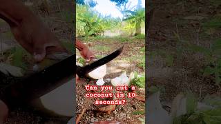 Amazing Coconut Cutting Skills [upl. by Dazhahs]