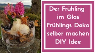 Hyazinthe im Glas  Frühlings Deko Idee zum selber machen  Schnelle Deko vom Blumenmann [upl. by Anilac]