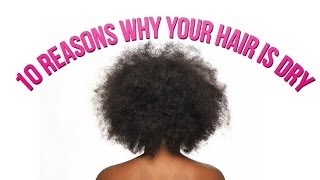 10 REASONS WHY YOUR HAIR IS DRY  Ammina Rose [upl. by Rafaj]