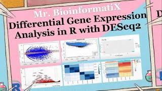 Differential Gene Expression Analysis in R with DESeq2 Bioinformatics Tutorial for Beginners [upl. by Lyrad572]