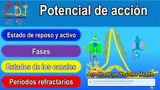 POTENCIAL DE ACCIÓN resumido  Potencial de acción neuronal  Potencial de acción fisiología [upl. by Affra]