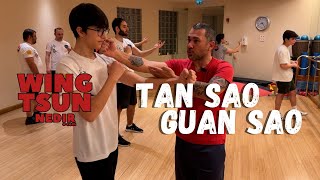 WING CHUN  Tan Sao  Guan Sao ve Dirsek Teknikleri [upl. by Aliehc]