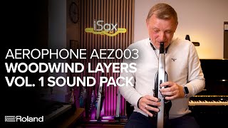 Roland Aerophone AEZ003 Woodwind Layers Vol 1 Sound Examples [upl. by Colly974]