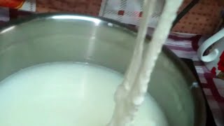 இது செய்ய இவ்ளோ ஈஸியா Mozzarella Cheese recipe How to make Mozzarella at home using Vinegar [upl. by Frager]