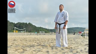 Sensei Zahari Damyanov interview July 2018 [upl. by Moreville]