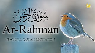 Surah ArRahman سورة الرحمن  This Voice will TOUCH your HEART إن شاء الله  Zikrullah TV [upl. by Magda]