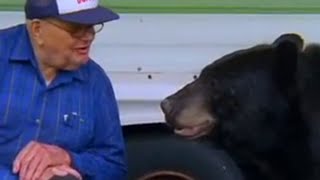 The Man Who Feeds Wild Black Bears  Bear Crime  BBC Studios [upl. by Valdes970]