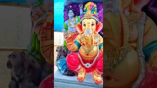 Episode1 Vinayak jathara￼🥹❤️‍🩹🙏…trendingshorts ganesh reality shortsfeed motivation viral [upl. by Jaymee]