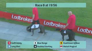 Crayford Greyhounds Races on 5th May 2024 [upl. by Ube537]