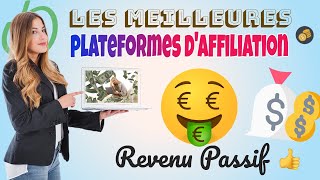 Meilleures Plateformes dAffiliation Pour 2024 🤑 Revenu Passif 🚀 [upl. by Notgnihsaw]