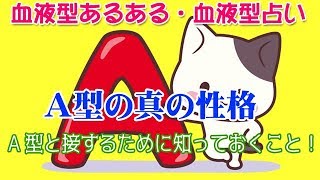 【Ａ型の真の性格】血液型あるある・血液型占い。A型と接するために知っておくこと！ [upl. by Doralia]