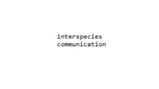 interspecies communication with Anna Breytenbach [upl. by Shulman]