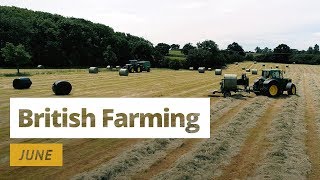 British Farming  12 Months On A UK Farm June [upl. by Ormond]