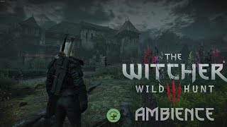 Witcher 3  Von Everec Estate Ambience  Gaunter ODimms Theme   Sleep  Study  Relax [upl. by Graehme105]