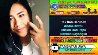 Tambatan Jiwa karaoke tanpa Vocal Cowok Duet Bareng Adinda [upl. by Adnahsal]