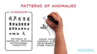 Pediatrics – Congenital Anomalies By Daryl Scott MD [upl. by Ahsiadal]