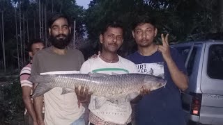 10kg black carp Fishing  Krishnanagar Tatia pukur viral fishing fishingvideo fishinglife [upl. by Connelly742]