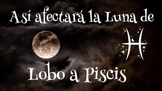 Luna del Lobo todo sobre la LUNA LLENA de Enero Y su Efecto sobre los Signos del Zodiaco piscis ♓️ [upl. by Tiloine]