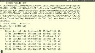 RSA Key Generation Signatures and Encryption using OpenSSL [upl. by Oicul]