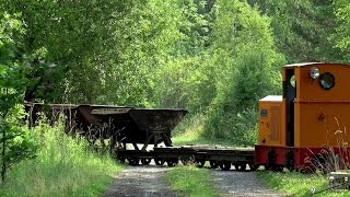 Eichenberger Waldbahn  Arbeitssonntag Juli 2015 [upl. by Adiesirb804]