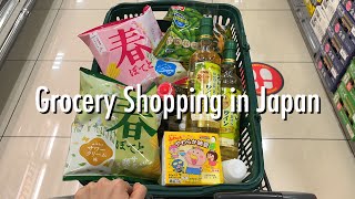 Grocery Shopping Trips in Japan 🛒 Compilation of Early March🎵 [upl. by Acsecnarf]