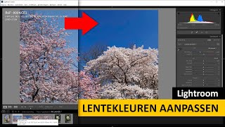 Lightroom Classic  Lentekleuren aanpassen Dutch [upl. by Nealah]