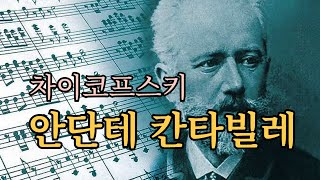 차이코프스키 교향곡 제5번 2악장 안단테 칸타빌레 Tchaikovsky Symphony no 5 2nd mov Andante Cantabile [upl. by Fanni]