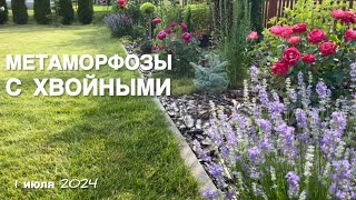 НОВИНКИ В ХВОЙНУЮ КОЛЛЕКЦИЮ ЕЛИ ПОСИНЕЛИ  ЕЛЬ ЛАКИ СТРАЙК СОСНА ПИРАМИДАЛИС [upl. by Asset]