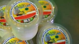 Pengolahan Es Krim Rumput Laut [upl. by Timotheus]