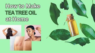 Top 5 Uses amp Benefits of Tea Tree Oil For Skin amp Hair  Beauty Benefits  Giveaway week [upl. by Drannel]