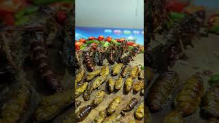 Eating leaf worm insects shortsvideo bgmi tasty good food nature [upl. by Drofnats]