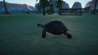 Planet Zoo  Aldabra Giant Tortoise [upl. by Merline790]