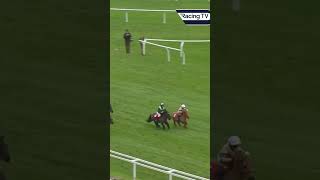 Incredible renewal of the Shetland Pony Race horse horseracing racingtv sport [upl. by Adniuqal]