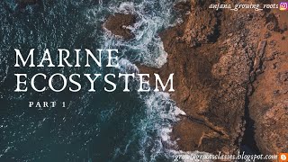 MARINE ECOSYSTEM  Malayalam  Ocean Ecosystem  Characters Of Marine Ecosystem  Botany  Zoology [upl. by Parsifal184]