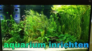 Beplant AQUARIUM INRICHTEN mijn tipsNickey [upl. by Gunthar]