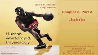 Anatomy amp Physiology Chapter 8 Lecture Part A  Joints [upl. by Lustick]