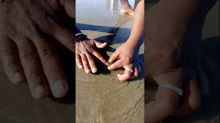 Unbelievable Catching with Empty Hand fishing fishingvideos seafishing thoondilulagam [upl. by Netsrik943]