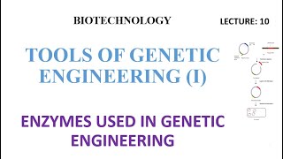 enzymes used in genetic engineering enzymes used in cloningcloning enzymes biotechnology lectures [upl. by Kristien337]