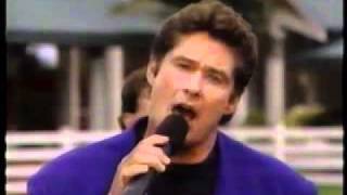 David Hasselhoff  Fallin in Love Live at Sea World 1995 [upl. by Enimsaj]