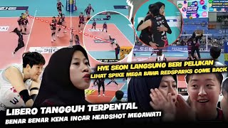 quotLangsung Peluk MegaquotPark EunJin Dan Hye Seon Emosional Lihat Mega Libero Pink Spider Terkejut [upl. by Fowkes]