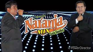 NARANJA MIX  PRIMICIA 2019  ASESINA DE AMOR [upl. by Brod290]