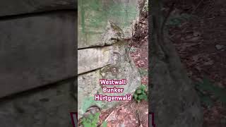 Westwall Bunker Hürtgenwald adventure wald природа природа westwall [upl. by Alves]