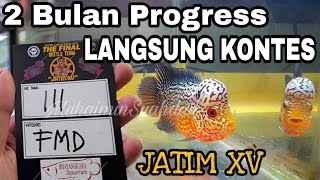 Progress Burayak Louhan Selama 2 Bulan Langsung Turun Kontes JATIM  Mojokerto [upl. by Asirrom]